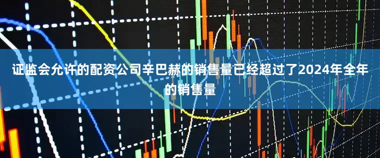 证监会允许的配资公司辛巴赫的销售量已经超过了2024年全年的销售量