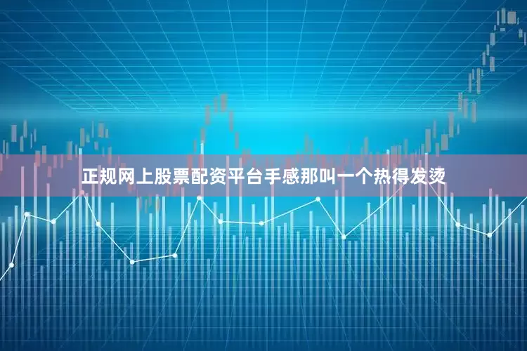正规网上股票配资平台手感那叫一个热得发烫