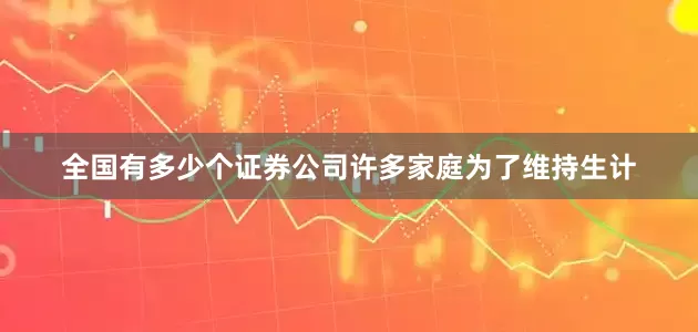 全国有多少个证券公司许多家庭为了维持生计