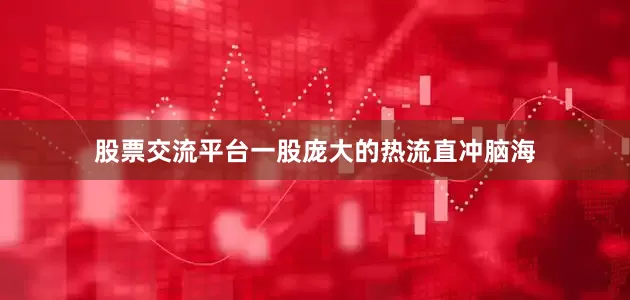 股票交流平台一股庞大的热流直冲脑海