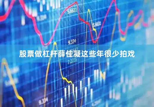 股票做杠杆薛佳凝这些年很少拍戏